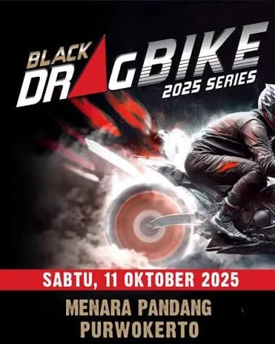 Gallery 2025