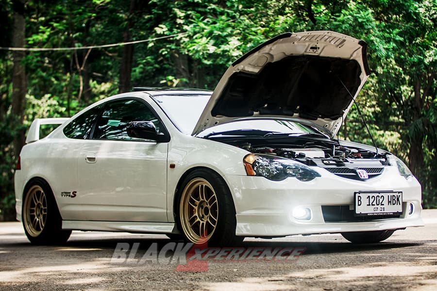 Legend Street Race, Honda Integra DC5 Dress Up Racy Meaty Fitment