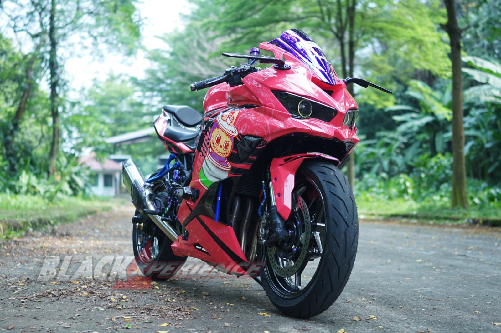 ZX25R LABUBU, Berkat Warna Pink Lolosin Budget Modif Rp100 juta